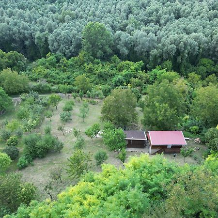 Odmor Za Dusu I Tijelo U Srcu Prirode Villa Aljmaš Exterior foto