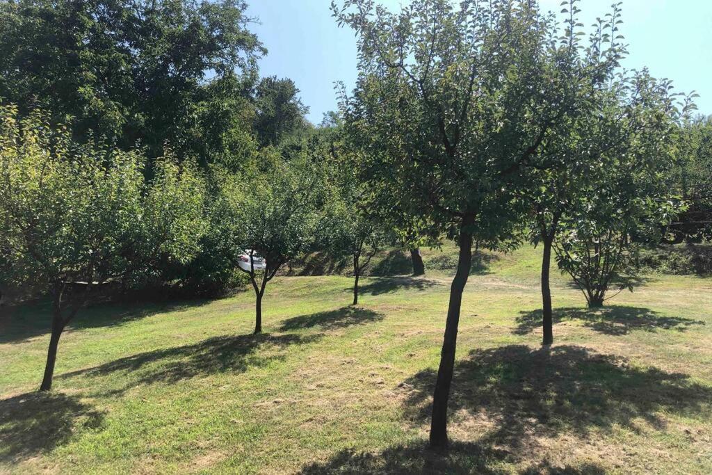 Odmor Za Dusu I Tijelo U Srcu Prirode Villa Aljmaš Exterior foto