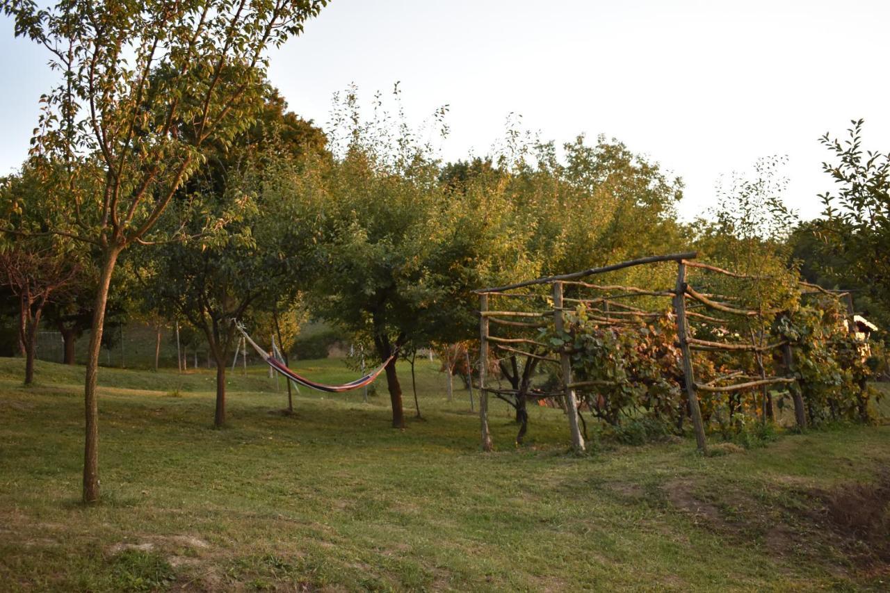 Odmor Za Dusu I Tijelo U Srcu Prirode Villa Aljmaš Exterior foto