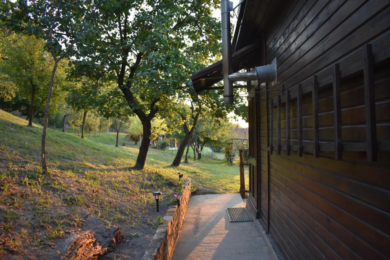 Odmor Za Dusu I Tijelo U Srcu Prirode Villa Aljmaš Exterior foto