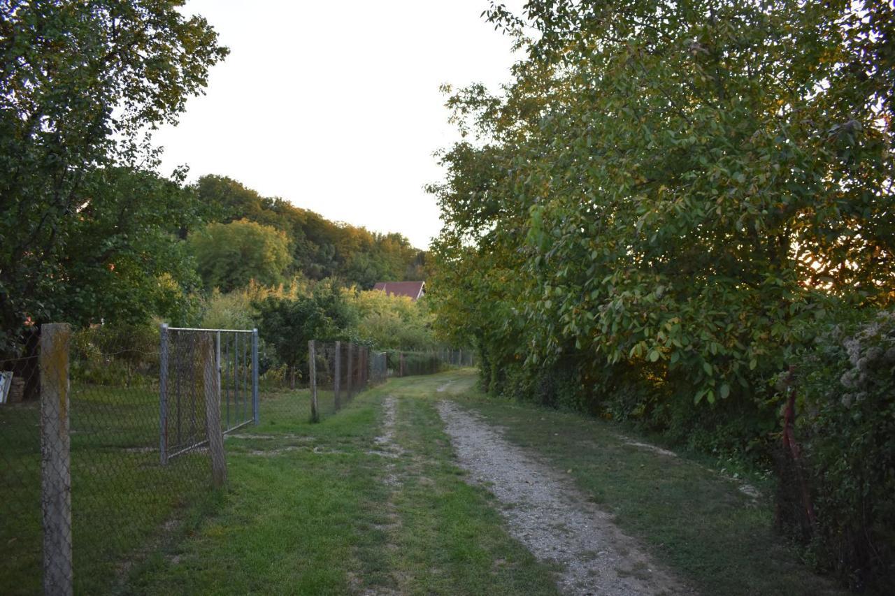 Odmor Za Dusu I Tijelo U Srcu Prirode Villa Aljmaš Exterior foto