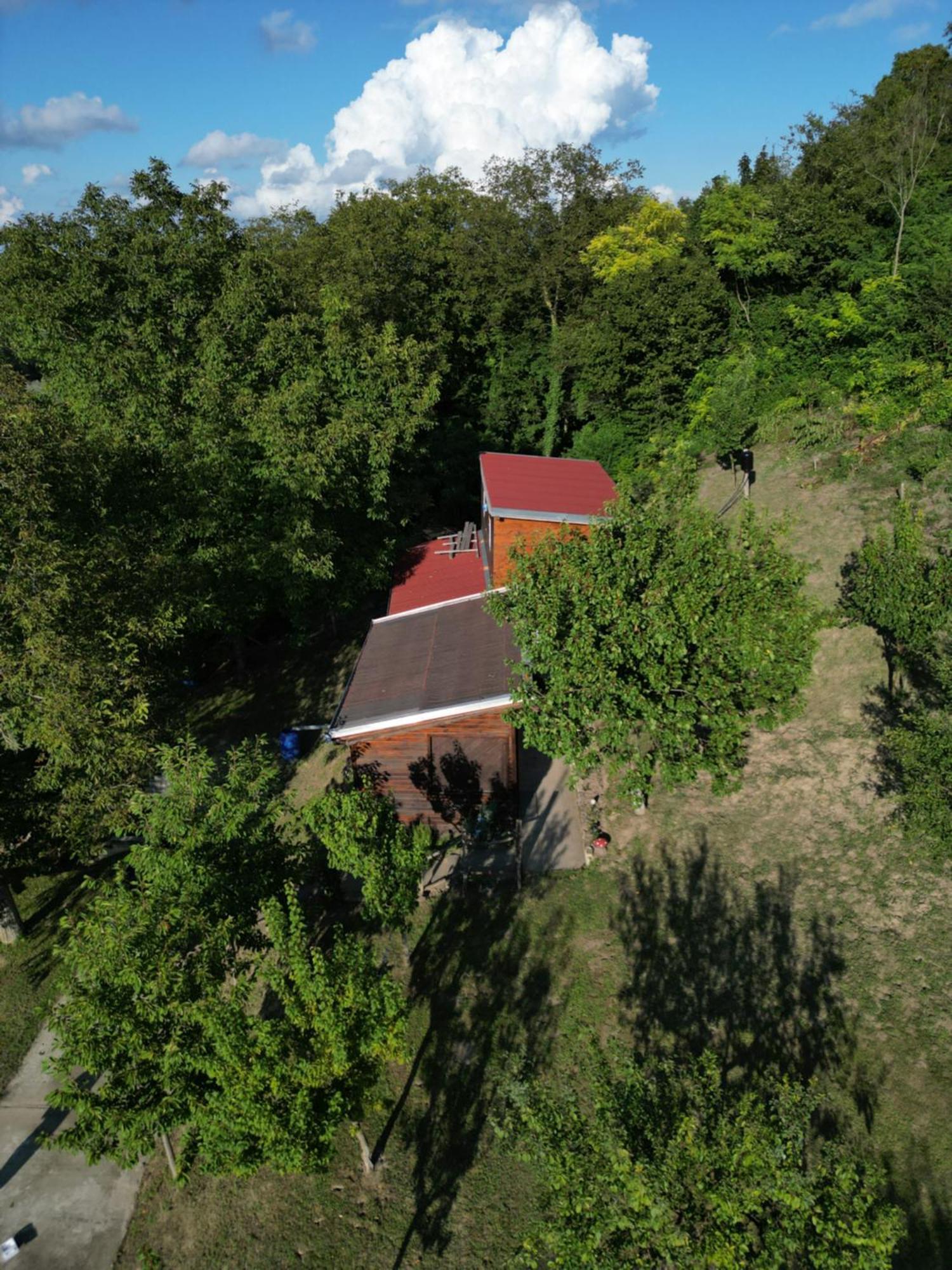 Odmor Za Dusu I Tijelo U Srcu Prirode Villa Aljmaš Exterior foto